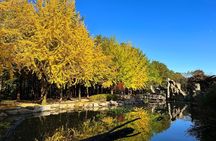 Nami Island, Garden of Morning Calm Tour with Rail Bike Option