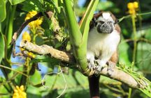 Beautiful Panama Canal Lake Nature Sightseeing