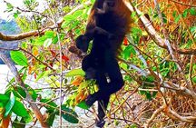 Beautiful Panama Canal Lake Nature Sightseeing