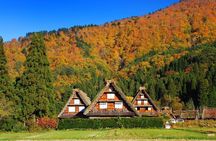 Nagoya to Hida Takayama, Shirakawa-go Gassho Village Day Tour