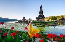 Northern Side of Bali Private Day Tour
