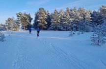 From Tallinn Learn to Ski in Estonia Cross Country Skiing