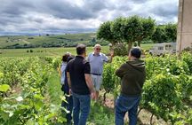 Beaujolais Half Day Wine Tasting Tour