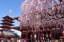Private Tokyo with Exceptional Guide Tailored to Your Needs 