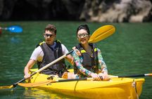 Luxury 5-Star Ha Long Bay Day Cruise with Buffet Lunch from Hanoi