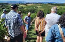 Golden stones Beaujolais Wine Tour with Tastings from Lyon