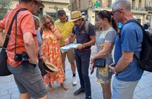 Avignon Walking Tour including Pope's Palace