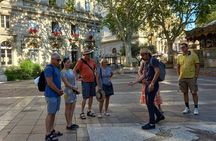 Avignon Walking Tour including Pope's Palace