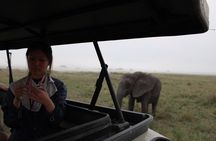 6 Days Adventure Towards Serengeti, Ngorongoro and Tarangire 