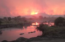 6 Days Adventure Towards Serengeti, Ngorongoro and Tarangire 