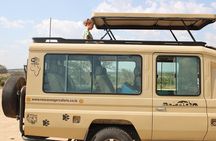6 Days Adventure Towards Serengeti, Ngorongoro and Tarangire 