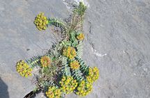 Natural History Guided Tour Cave & Nature of Petralona Halkidiki