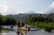 2 Days Gorilla & Golden Monkey Trekking Safaris