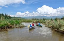 2 Days Gorilla & Golden Monkey Trekking Safaris