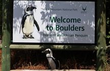 Cape Point Cape of Good Hope and Penguins Private Tour