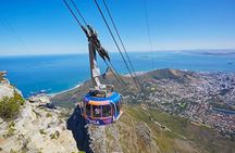Table Mountain, Kirstenbosch & Constantia Full Day Private Tour