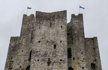 Newgrange, Trim Castle and Hill of Tara Private Tour from Dublin
