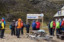 Landmannalaugar Hike and Hot Springs from Reykjavik and Hella