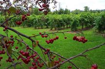 A Spring Escape: A Walk through Time & Wine at the Monastery