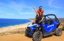 Desert and Beach Buggies Tour