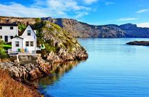 Conception Bay Tour Experience