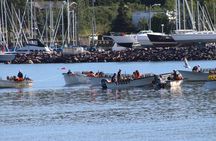 Conception Bay Tour Experience