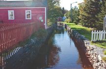 Conception Bay Tour Experience