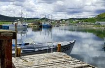 Irish Loop to Ferryland Tour