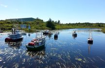 Irish Loop to Ferryland Tour