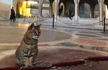 Guided Tour to Hagiasophia 