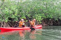 Private Batam Island Snorkeling and Canoe from Singapore