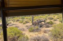Aquila Game Reserve Sunset Safari Experience with Snacks