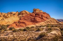 The Ultimate Red Rock Canyon Scenic Experience