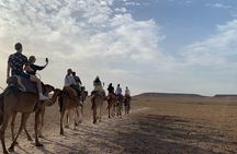 Agafay Desert Package: Quads, Camels, Dinner & Live Shows