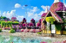 Miracle Garden and Global Village Tour with Round Trip Transport