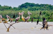 Bird Watching at Tonle Sap Forest and Lotus Farm Siem Reap