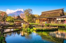 Mt Fuji Oshino Hakkai Gotemba Hot Spring tour from Tokyo/Shinjuku