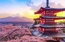 Mt Fuji Oshino Hakkai Gotemba Hot Spring tour from Tokyo/Shinjuku
