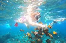 Nusa Penida Private Snorkeling and Land Tour Start from Bali