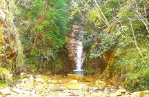  Private Historic Road Hike in the Healing Forest of Arima