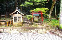  Private Historic Road Hike in the Healing Forest of Arima