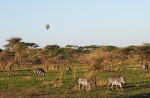 9 Days Private Camping Safari