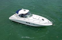 36 Ft Boat with Cabin and Champagne