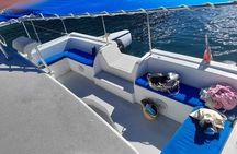 Catamaran private charter