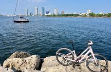 Milwaukee Guided E-Bike and Smörgåsbord Tour
