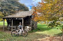 Milwaukee Guided E-Bike and Smörgåsbord Tour