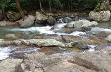 Half-Day Nadi Tour: Lookout, Temple & Village