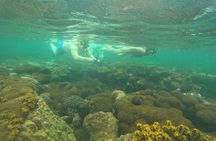 Snorkeling Island Hopping with Cable Car and Lunch