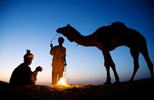 Overnight Camel Safari Tour