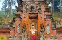 Ulu Petanu Waterfall Monkey Forest And Swing Private Guided Tour